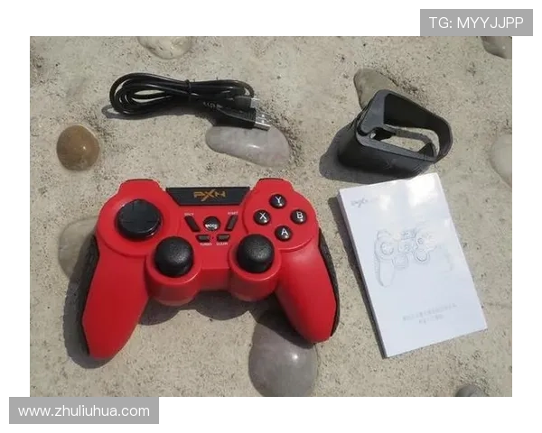 尊龙入口客户端下载指南，快速安装确保畅快游戏体验