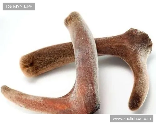 尊龙凯时安卓版下载：适配各种设备的下载安装方案