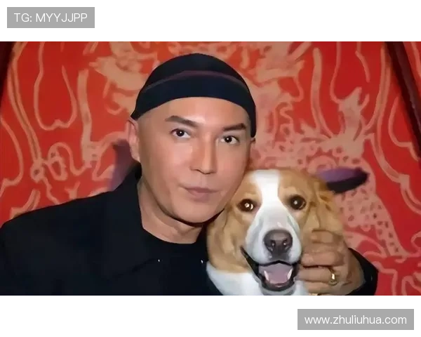 尊龙官方ap：尊龙品牌官方应用的最新版本更新内容详解