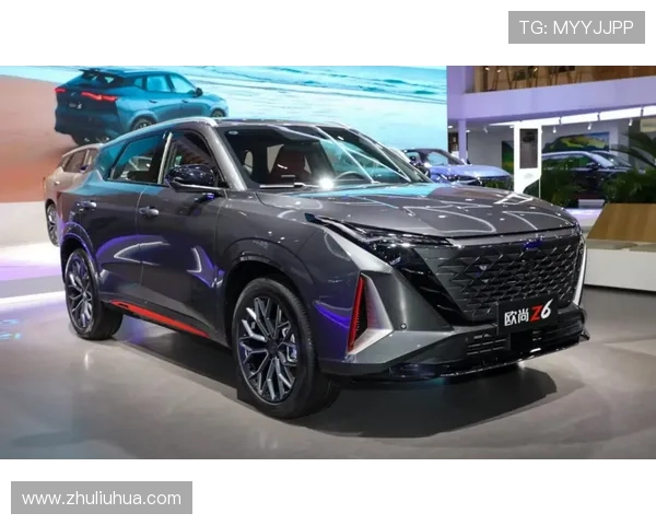 Z6就是博：Z6在性能与品质方面的卓越表现详尽分析