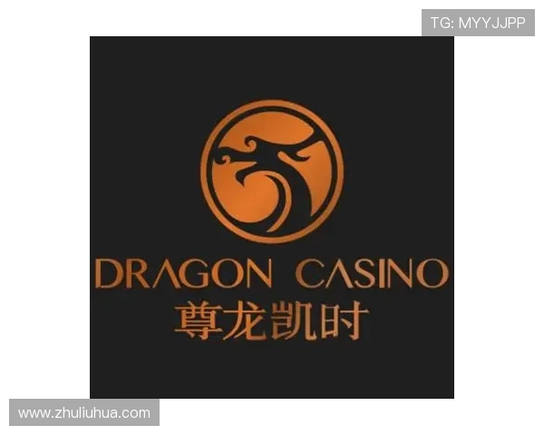 探访尊龙凯时官网网页版的安全性与用户体验分析