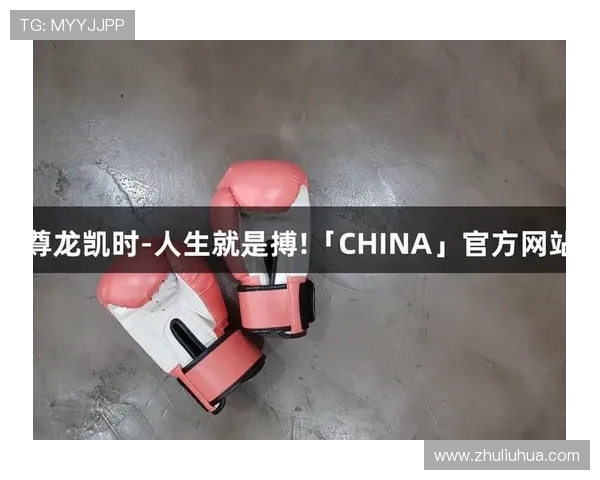 揭秘尊龙凯时AG官方入口的优势与特色功能