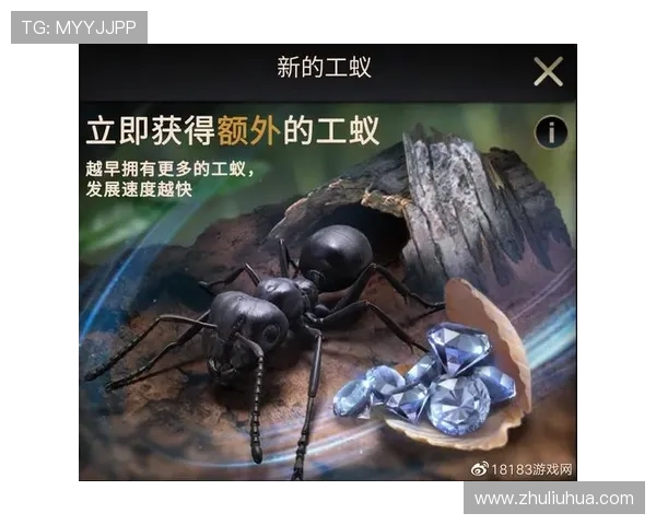 龙八国际游戏官方娱乐网站的安全保障措施与用户隐私保护策略