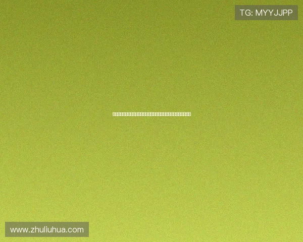 深入分析新西兰对埃及主办城市的世界杯赛事对当地经济与文化的影响